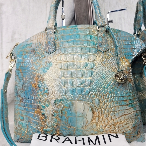 Brahmin - Picture 5 of 12